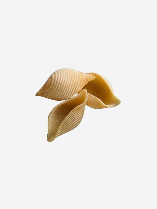 Conchiglioni grandi IGP