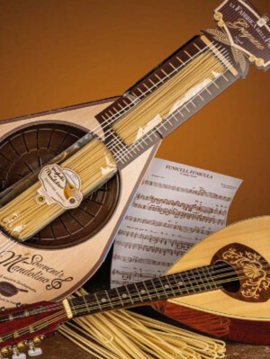 il Souvenir Mandolino