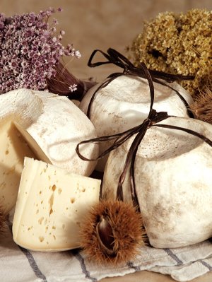 Fior di Tiglio
