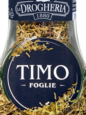 Timo