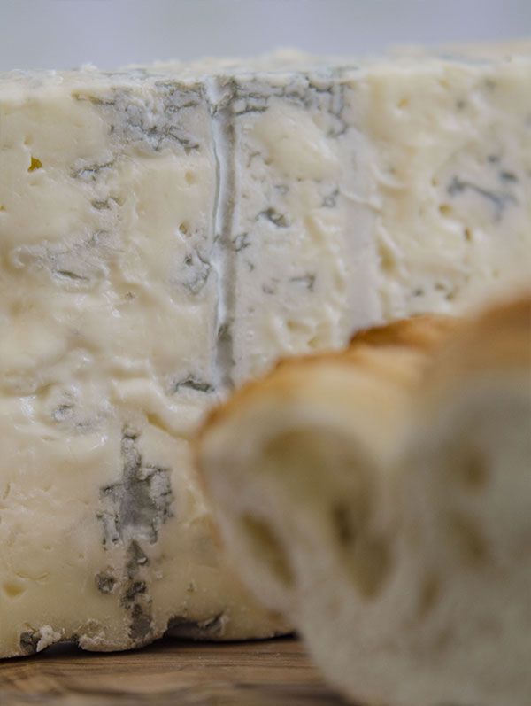 Gorgonzola Argento Rondinella
