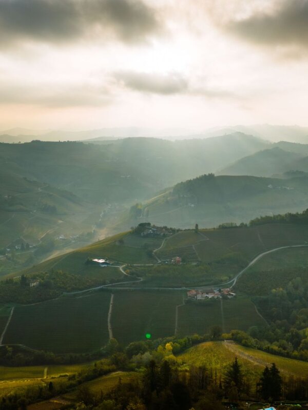 cuneo